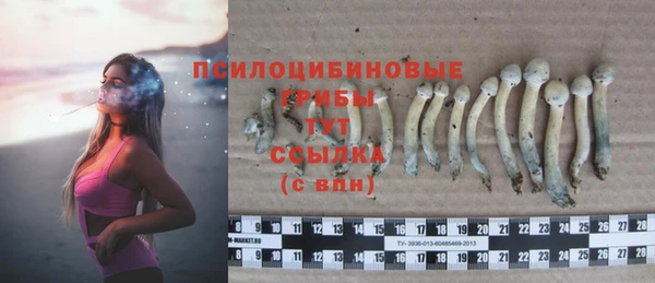 герыч Бугульма