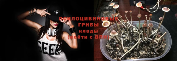 spice Бронницы