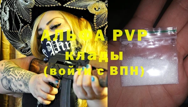 гашик Бородино