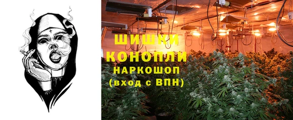 бошки Богданович