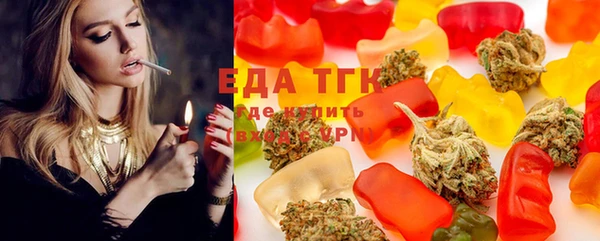 гашик Бородино